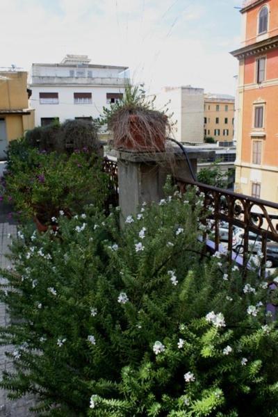 Eleven Apartment Roma Exterior foto